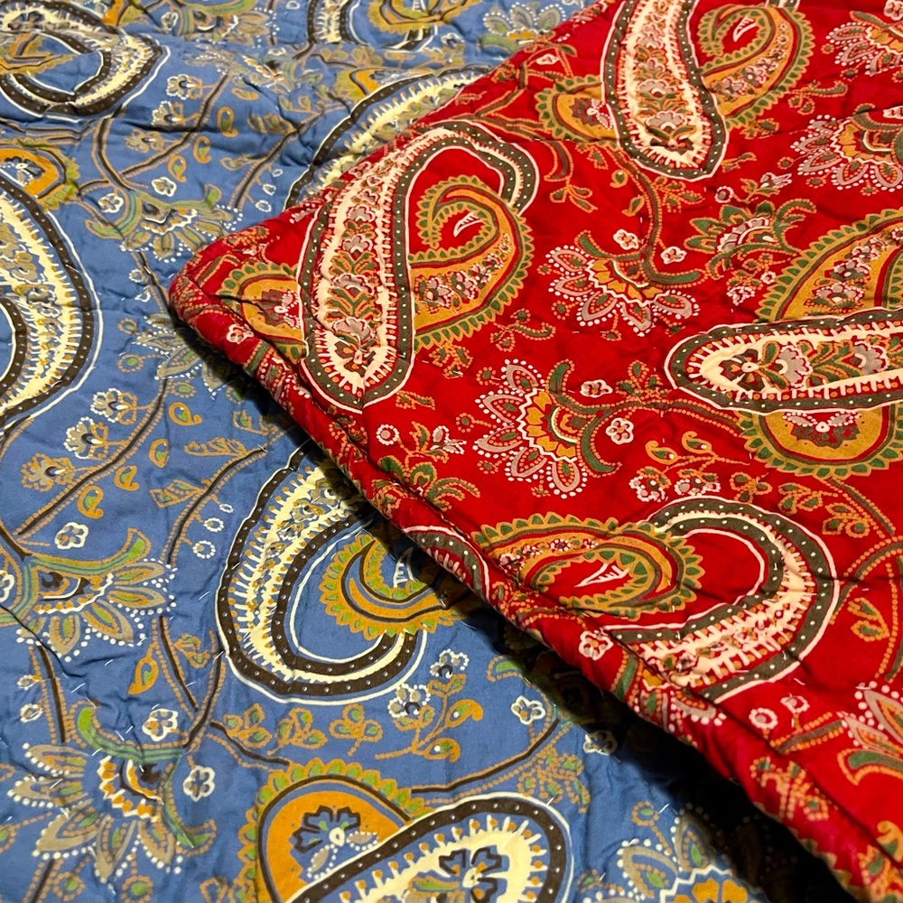 Pottery Barn Vintage Reversible Paisley Euro Sham, 26” 2009